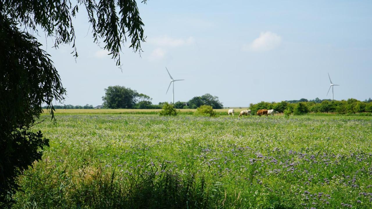 Ferienhaus Achtern Diek Emmelsbüll-Horsbüll Buitenkant foto